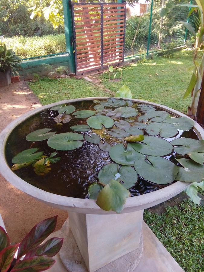Waterway Garden Cidade Antiga de Polonnaruva Exterior foto