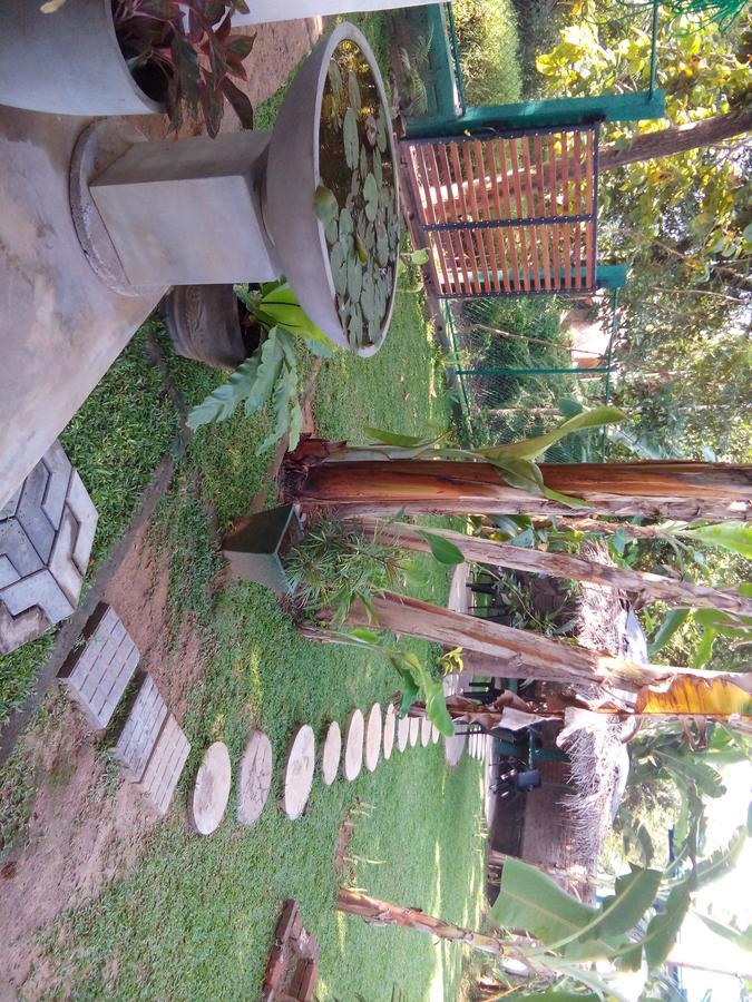 Waterway Garden Cidade Antiga de Polonnaruva Exterior foto