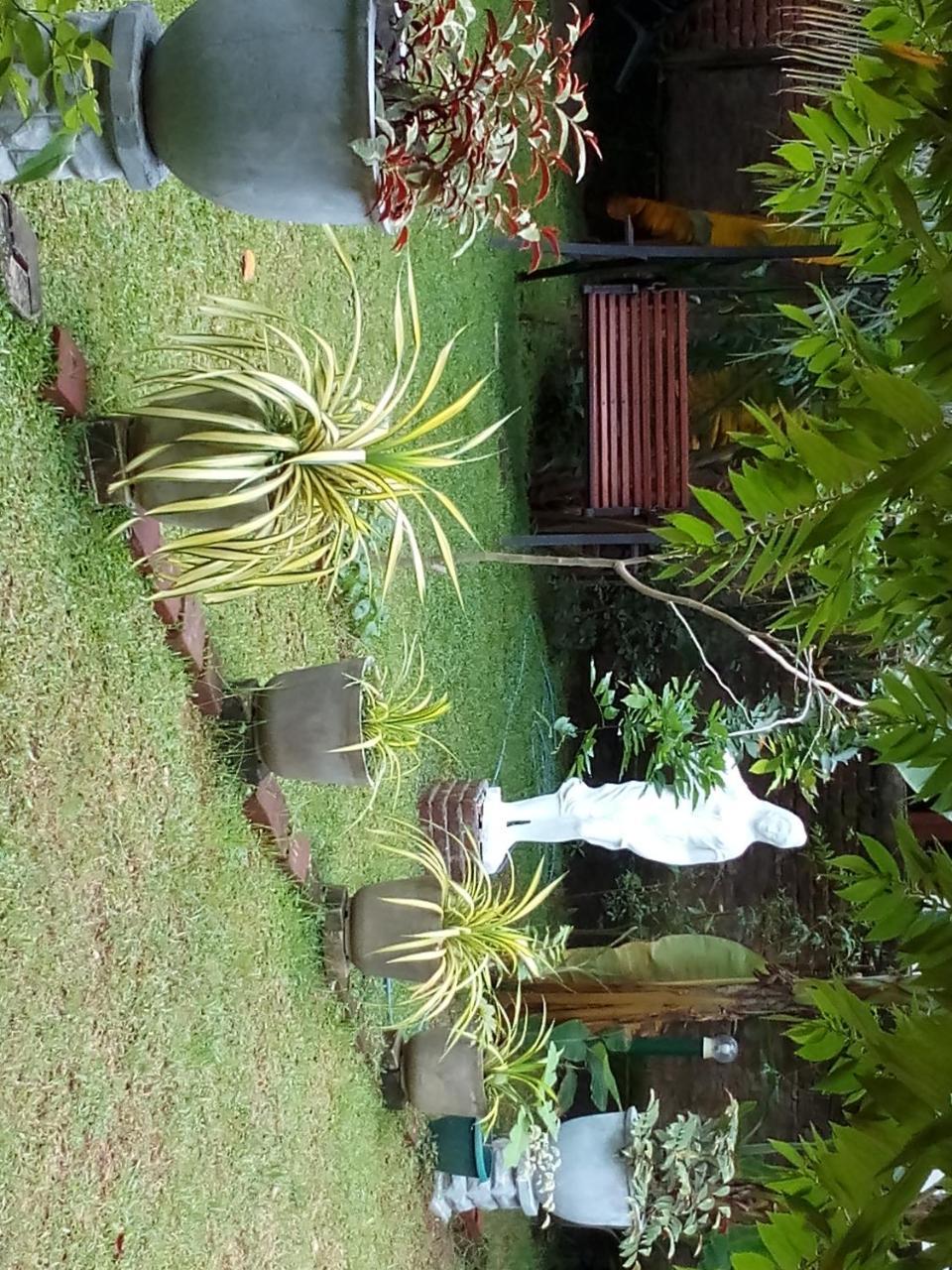 Waterway Garden Cidade Antiga de Polonnaruva Exterior foto
